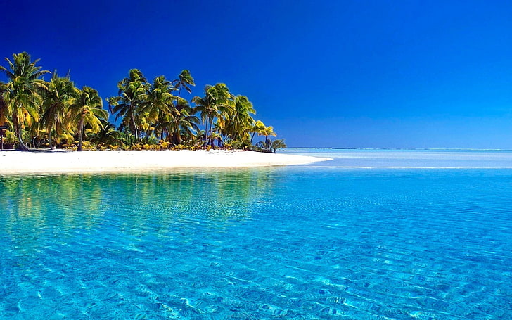 Earth, Tropical, Azure, Beach, Blue, Horizon, Island, Palm Tree, Sea, Summer, Sunny, HD wallpaper
