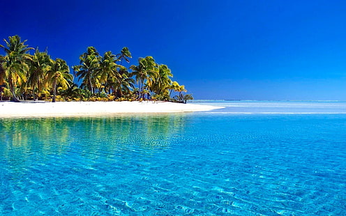 Terra, tropicale, azzurro, spiaggia, blu, orizzonte, isola, palma, mare, estate, soleggiato, Sfondo HD HD wallpaper