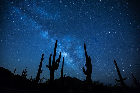 Jord, himmel, kaktus, öken, galax, Vintergatan, natt, siluett, stjärnhimmel, stjärnor, HD tapet HD wallpaper