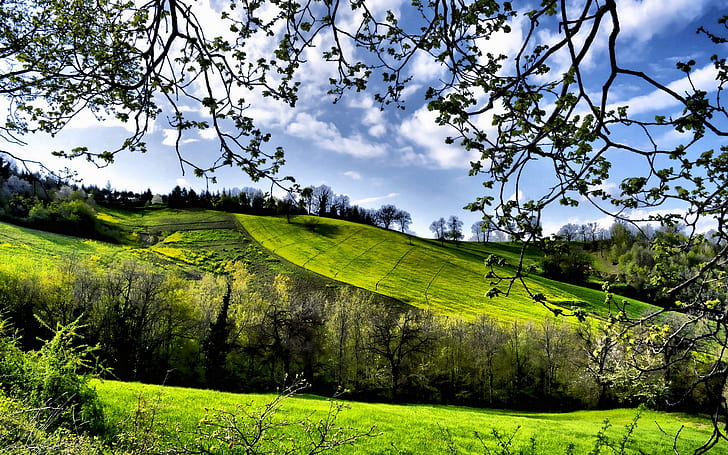 Spring scenery, fields, trees, greenery, Spring, Scenery, Fields, Trees, Greenery, HD wallpaper