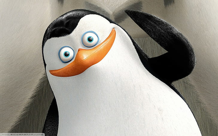 penguin film kartun madagaskar, Wallpaper HD
