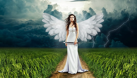 Fantasy, Angel, Artistic, Cloud, Field, Long Hair, Sky, Storm, Wings, Woman, HD wallpaper HD wallpaper