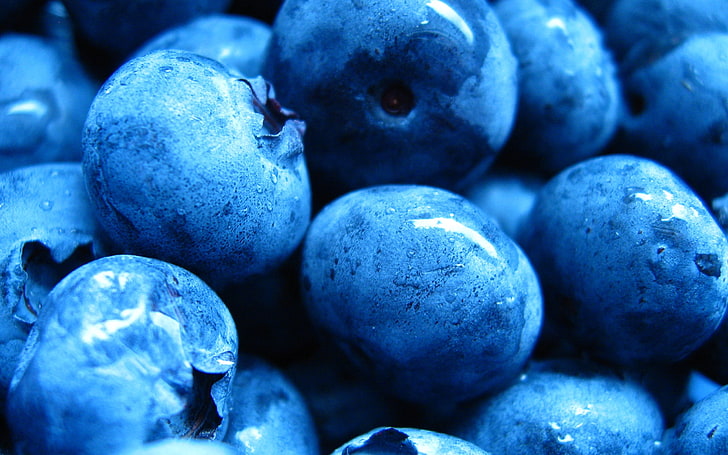 berrylot blu, mirtilli, bacche, umido, scuro, Sfondo HD