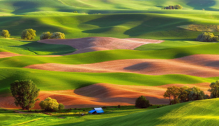 digital wallpaper of house with hills in the background, USA, landscape, field, Steptoe Butte State Park, hills, nature, green, trees, HD wallpaper