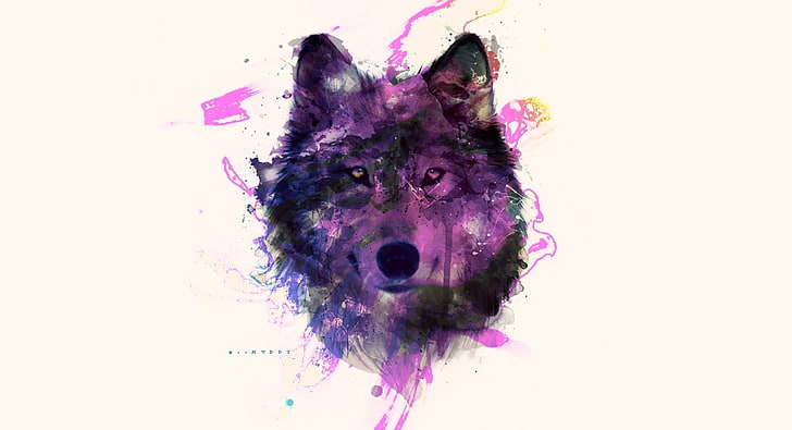 Serigala ungu, wallpaper digital serigala ungu dan hitam, Aero, Kreatif, warna-warni, warna, serigala, ungu, liar, hewan, Wallpaper HD