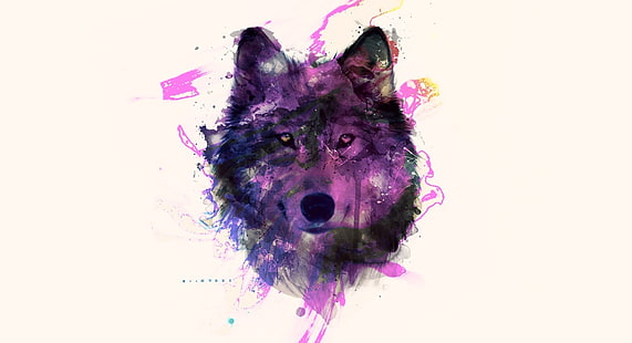 Serigala ungu, wallpaper digital serigala ungu dan hitam, Aero, Kreatif, warna-warni, warna, serigala, ungu, liar, hewan, Wallpaper HD HD wallpaper