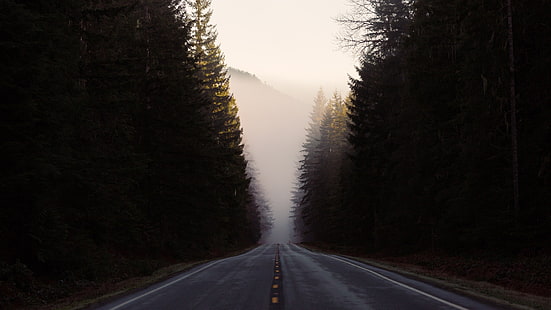 droga asfaltowa, przyroda, krajobraz, droga, drzewa, las, mgła, wzgórza, Tapety HD HD wallpaper