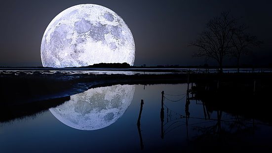 panorama, lago, alberi, notte, luna, chiaro di luna, natura, Sfondo HD HD wallpaper