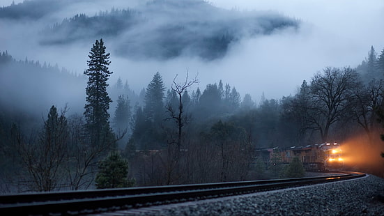 pista, árbol, cielo, tren, niebla, niebla, niebla, transporte ferroviario, bosque, nube, ferrocarril, ferrocarril, Fondo de pantalla HD HD wallpaper