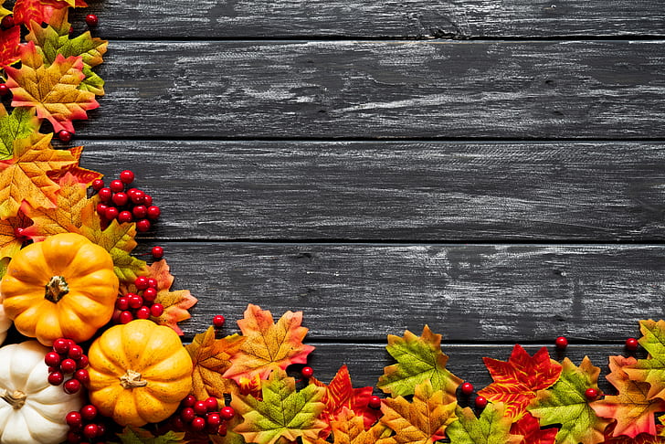autumn, leaves, background, Board, colorful, pumpkin, maple, wood, HD wallpaper