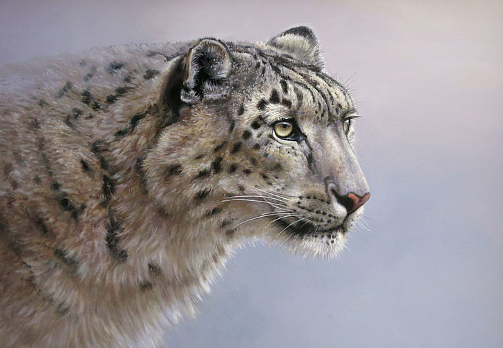 Big Cats Snow Leopards Painting Art Glance wide Mobile, cats, glance, leopards, mobile, painting, snow, wide, HD wallpaper