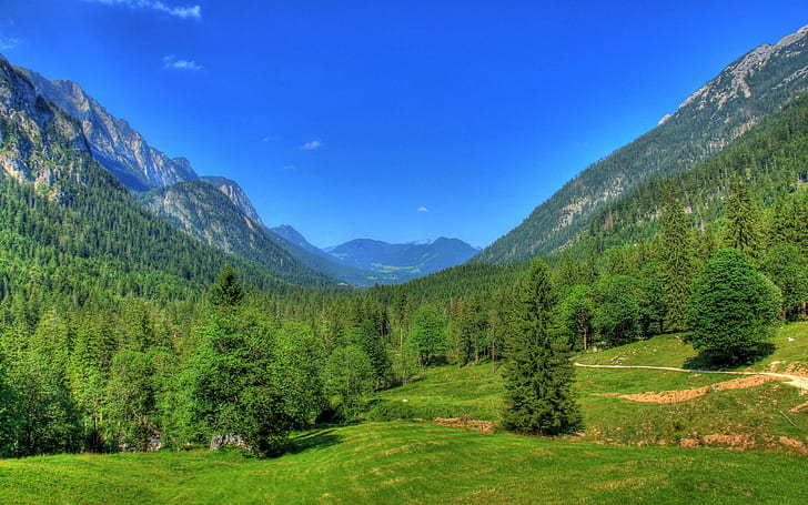 Jerman Bavaria pemandangan alam pegunungan hutan pohon langit biru Wallpaper HD 