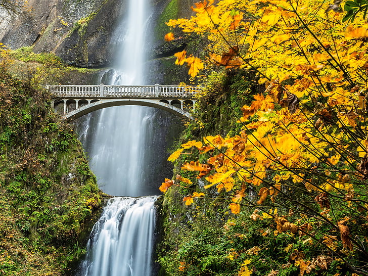 秋、コロンビア、滝、渓谷、マルトノマ、オレゴン、川、滝、 HDデスクトップの壁紙