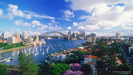 Lavender Bay, Sydney, Austrália, Oceania, HD papel de parede HD wallpaper