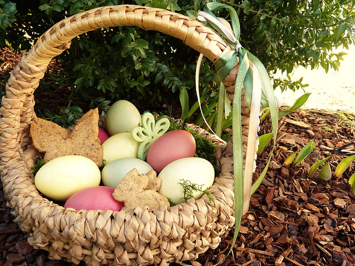 basket, bio, butterflies, children, colored, cookies, easter, easter bunny, easter eggs, easter greeting, easter nest, egg, family, garden, healthy, looking for easter basket, nature, of course, rabbit, spring, HD wallpaper