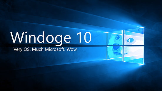 Microsoft Windows, Shiba Inu, Doge, memy, Tapety HD HD wallpaper