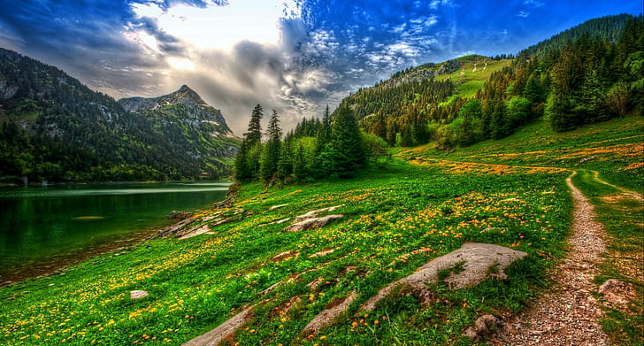 Switzerland, wildflowers, mountains, HDR, landscape, nature, path, forest, pine trees, lake, spring, HD wallpaper