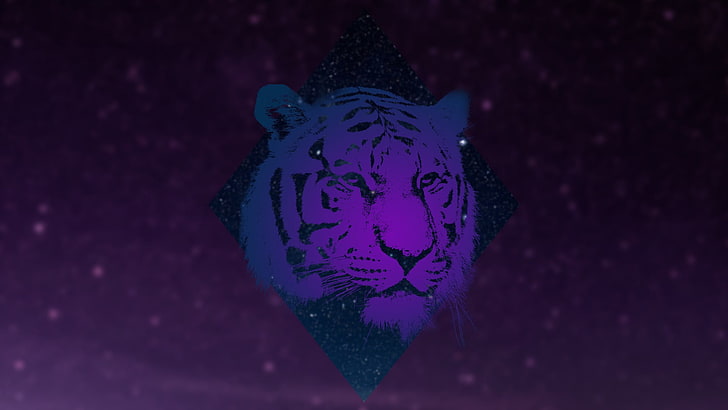Abbildung des Gesichtes des Tigers, Tiere, Tiger, Galaxie, HD-Hintergrundbild