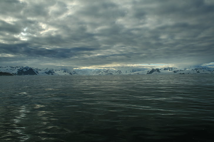 水域の写真、beascochea bay、水域、写真、南極半島、海、新星、com、雪、南極、南極、氷山-氷の形成、氷、自然、山、氷河、冬、寒さ-温度、グリーンランド、北極圏、風景、風景、流氷、アラスカ北部、 HDデスクトップの壁紙
