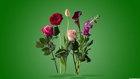 flor, planta, flora, flores cortadas, rosas de jardim, arranjo de flores, design floral, HD papel de parede HD wallpaper