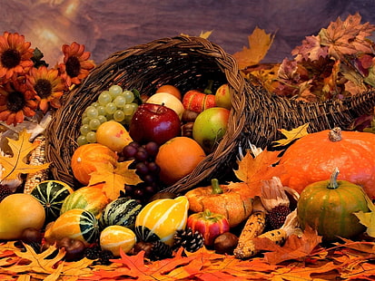 写真、静物画、バスケット、秋、花、果物、ひょうたん、葉、カボチャ、野菜、 HDデスクトップの壁紙 HD wallpaper