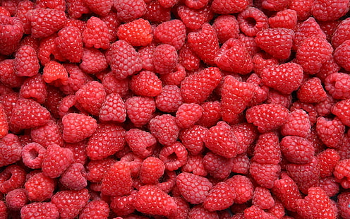 pattern, fruit, food, red, berries, raspberries, HD wallpaper HD wallpaper