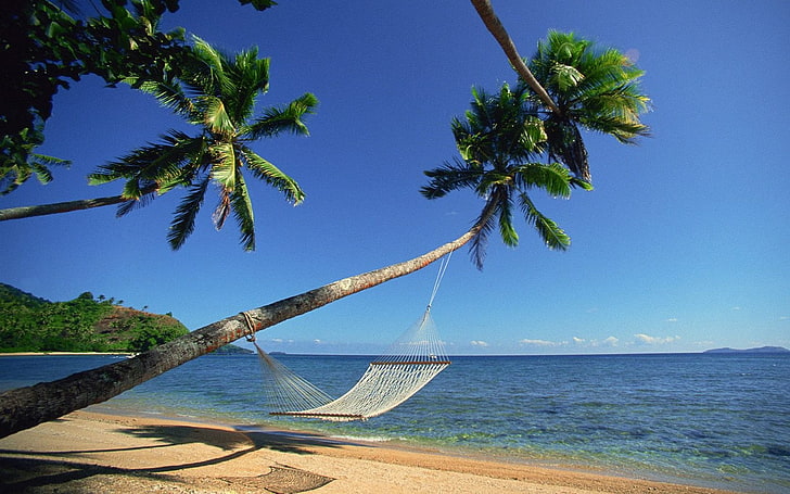 Fidji, hamac, paysages, nature, mer, Fond d'écran HD