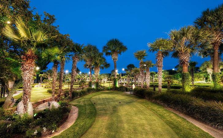 Golfing Course, Texas, palm trees, United States, Texas, Lights, Night, Dusk, palm trees, Club, Course, golfing, HD wallpaper