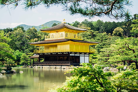 буддийский храм, золотой павильон, япония, кинкаку дзи, киото, пруд, рокуон дзи, храм, деревья, вода, HD обои HD wallpaper