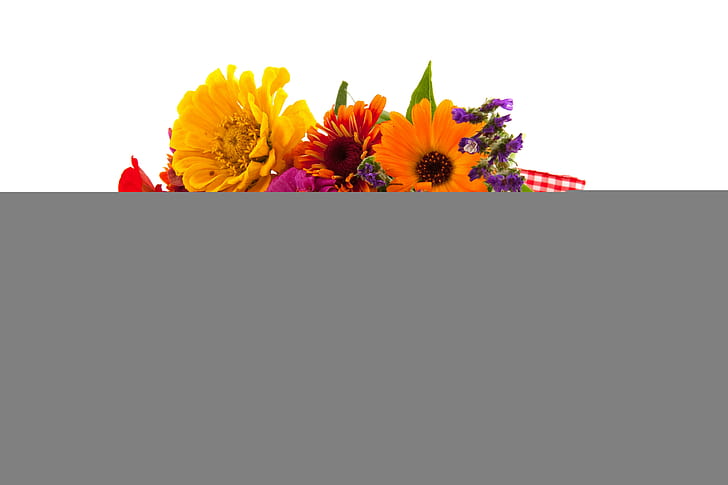 Zinnia Flowers, flowers, bouquets, zinnia, gerberas, HD wallpaper