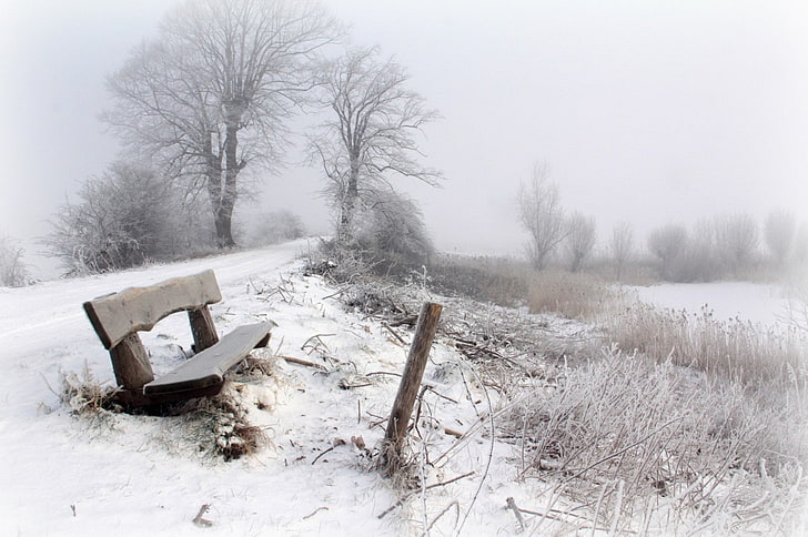 winter, bench, snow, trees, seasons, landscape, HD wallpaper