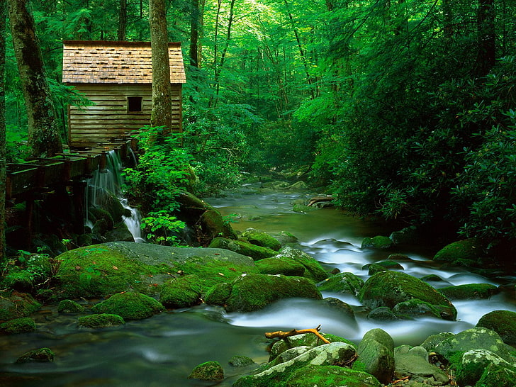 Страхотни опушени планини, кафява дървена къща в близост до речен тапет, природа, пейзаж, зелено, водопад, HD тапет