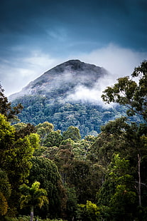 природа, пейзаж, планини, фотография, облаци, портретен дисплей, мъгла, дървета, гора, тропически, тропически гори, HD тапет HD wallpaper