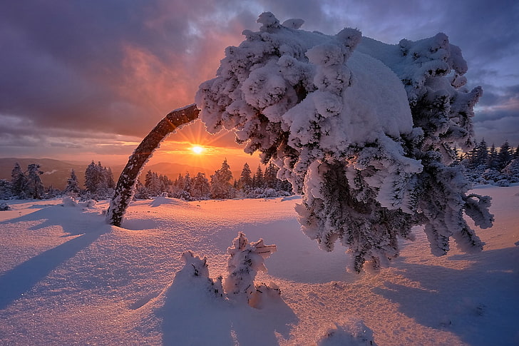 salju, musim dingin, Jerman, pemandangan, sinar matahari, alam, Wallpaper HD