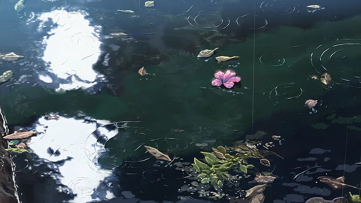 pink petaled flower, rain, The Garden of Words, Makoto Shinkai, water, flowers, sunlight, HD wallpaper
