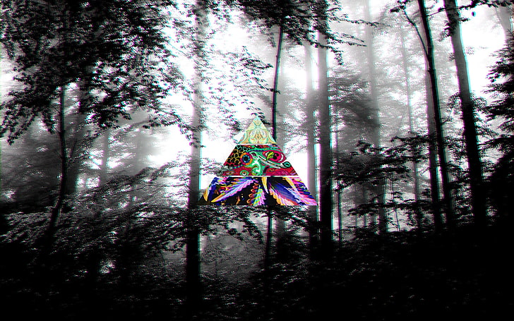 scenery of trees, dark, LSD, forest, HD wallpaper