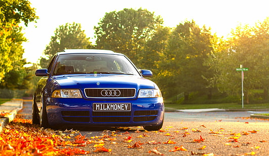 Biru Audi A4, Audi, A4, biru, depan, Musim Gugur, dedaunan, Wallpaper HD HD wallpaper