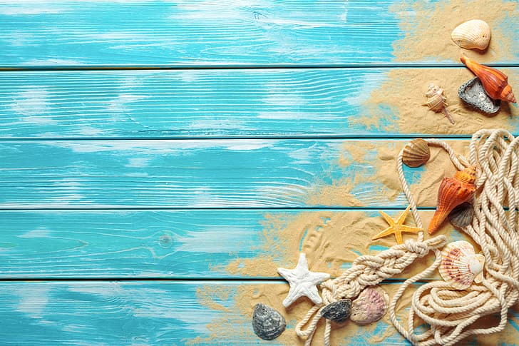 sand, beach, shell, wood, marine, still life, seashells, HD wallpaper