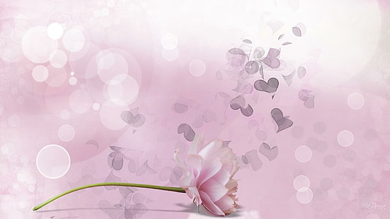 Summer Desire, ilustracja różowej róży, wiosna, persona firefox, cień, serca, kwiat, lato, bokeh, różowy, 3d i abstrakcyjny, Tapety HD HD wallpaper