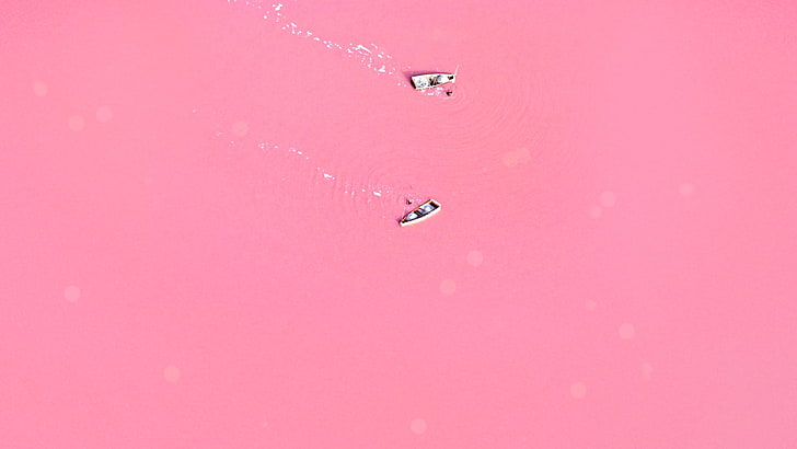الوردي ، البحيرة ، الحب، خلفية HD