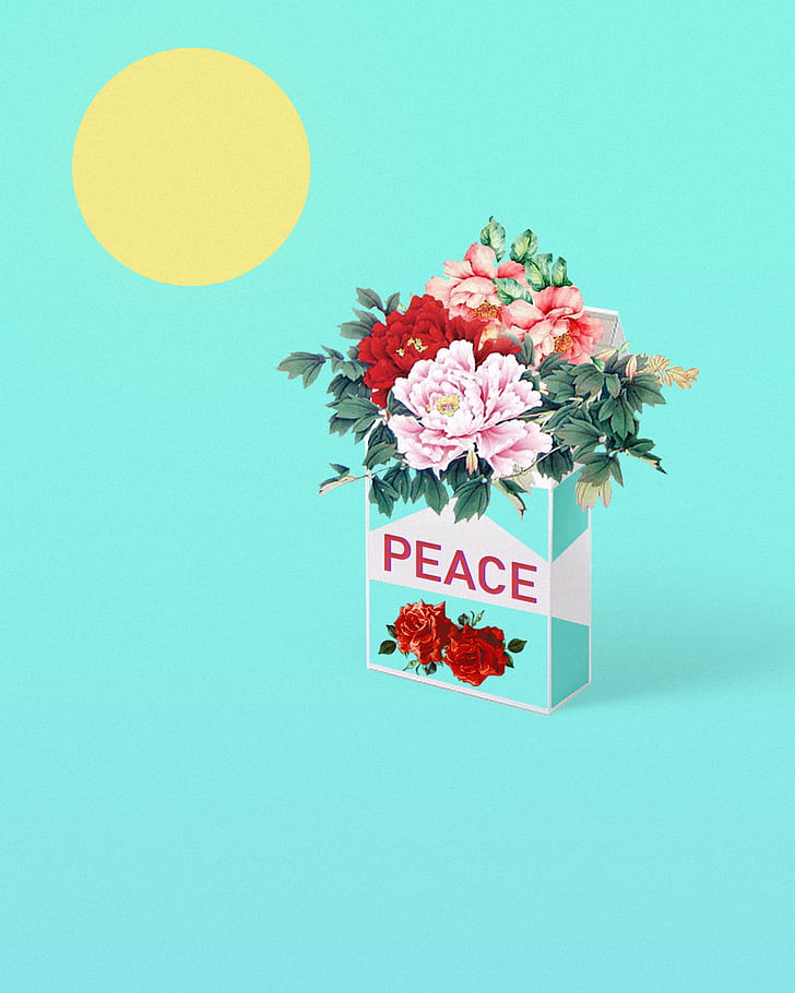 fiori, pace, rosa, sole, sigarette, floreale, Photoshop, giallo, Sfondo HD, sfondo telefono