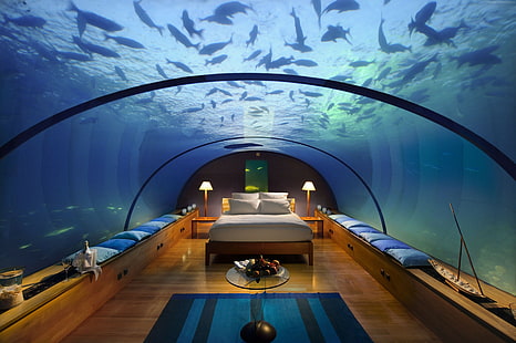 Best Hotels of 2015, vacation, fish, travel, bed, aquarium, Underwater Hotel Room, tourism, booking, resort, Conrad Maldives Rangali Island Hotel, HD wallpaper HD wallpaper