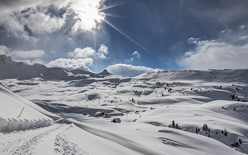 weiße und schwarze Blumenmatratze, Landschaft, Natur, Winter, Schnee, HD-Hintergrundbild HD wallpaper