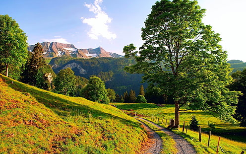 solig bergsväg-Landskap HD-bakgrundsbilder, grön kulle, HD tapet HD wallpaper