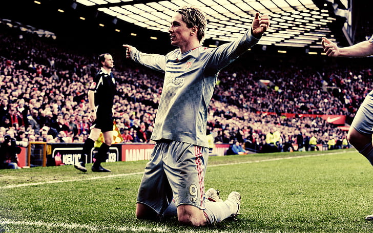 terrain, herbe, joie, football, victoire, sport, athlètes, Fernando Torres, football Liverpool, Liverpool, joueurs, moments de victoire, Fond d'écran HD