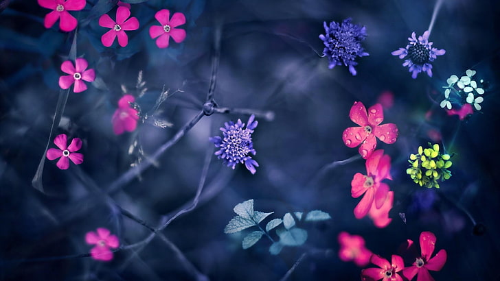 bunga, musim semi, fantasi, ranting, mekar, Wallpaper HD