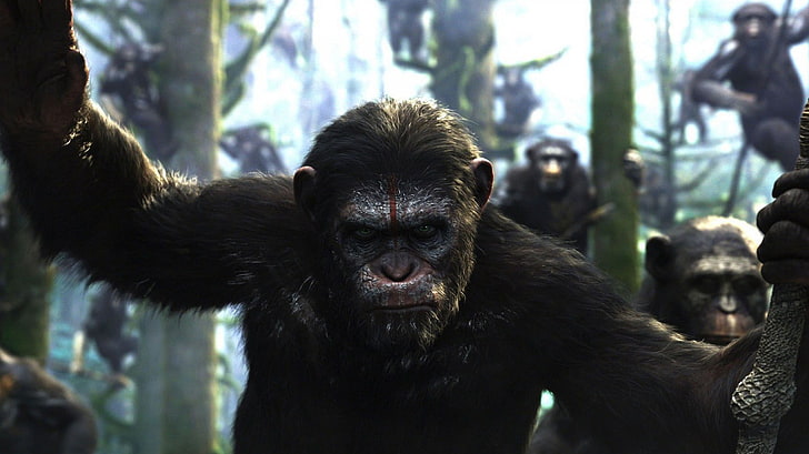 Ewolucja Planety Małp, Tapety HD