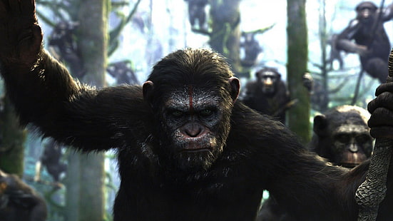 dawn of the planet of the apes, HD wallpaper HD wallpaper