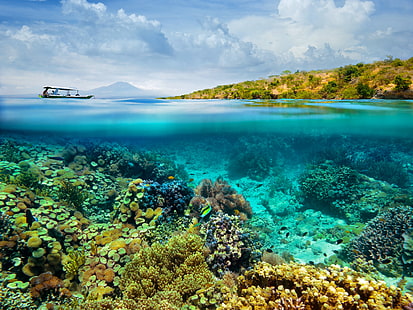 zbiornik wodny, morze, ryby, łódź, korale, dno morza, Tapety HD HD wallpaper