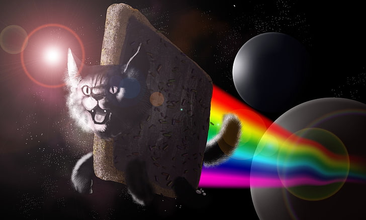 outer space flying rainbows nyan cat kingaby 2000x1200  Space Outer Space HD Art , flying, outer space, HD wallpaper